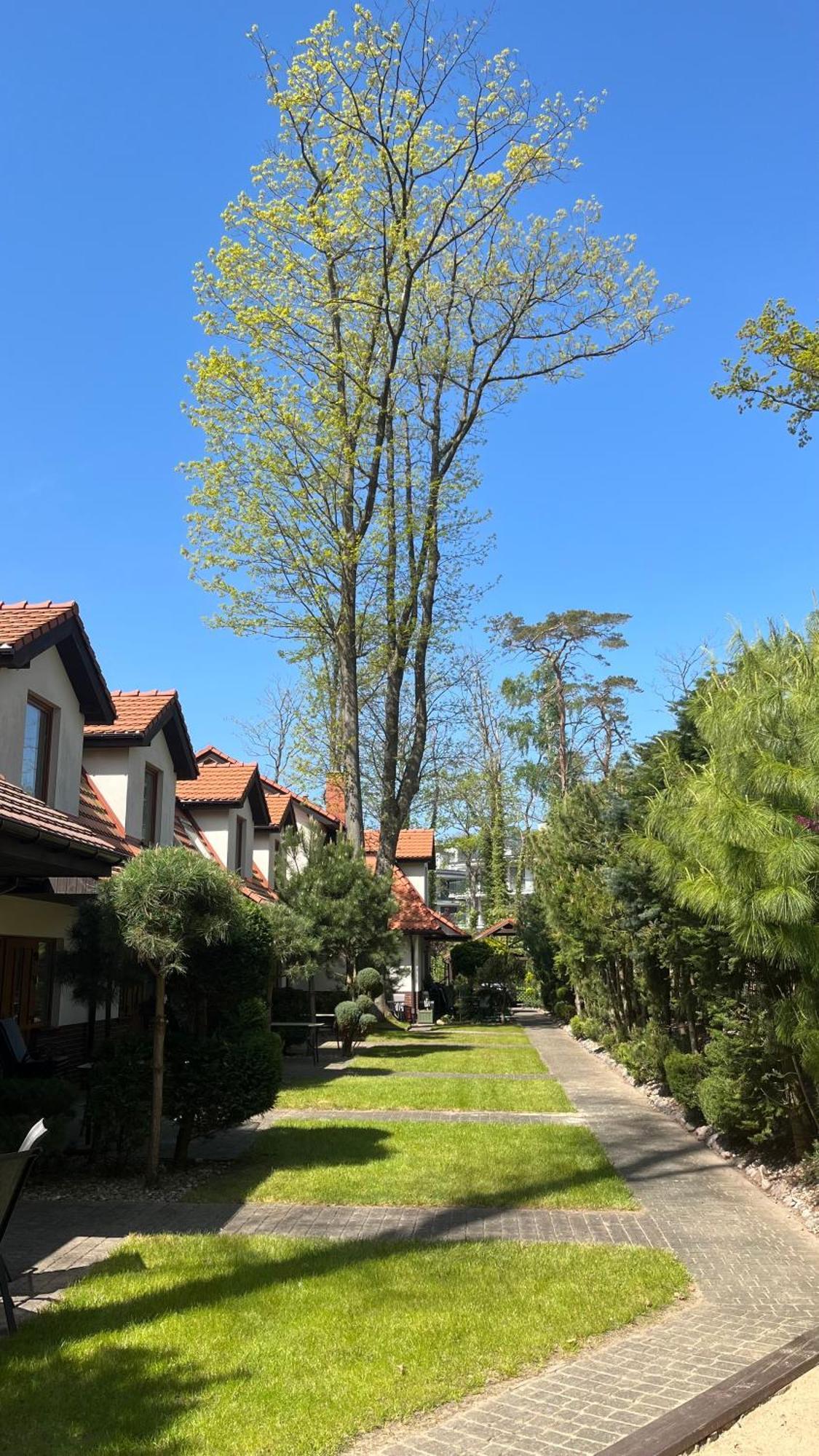 Apartamenty Prima Rewal Exterior foto